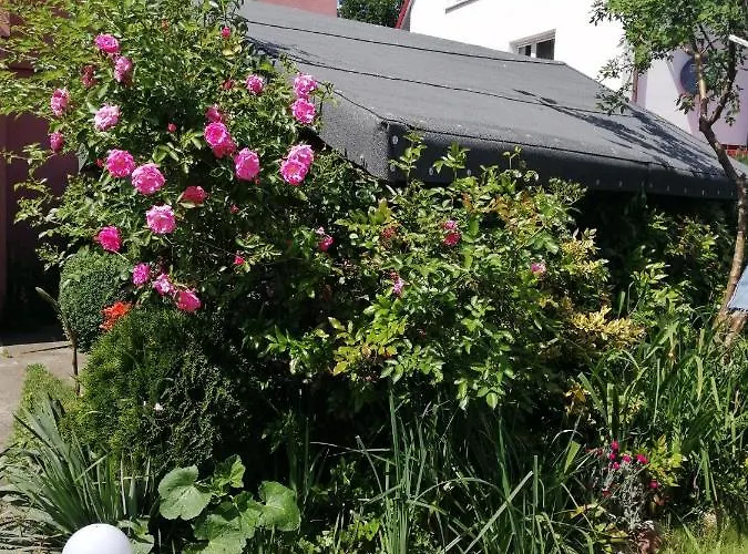 Kasienka Pansiyon Zarnowska